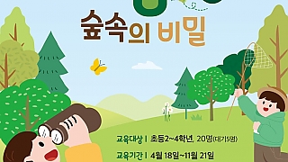 숲탐정:숲속의비밀